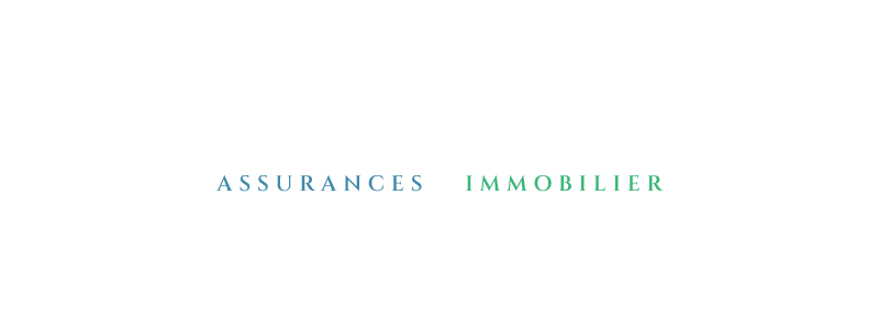 OpusConseils logo blanc